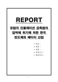유럽의 인플레이션 감축법의 압박에 위기에 처한 한국 반도체와 배터리 산업