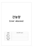 [성인간호실습 A+ 받았습니다!! ] 간농양 케이스 (간호진단 3개, 간호과정 3개)
