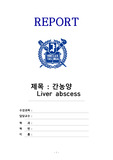 세브란스합격자, 실습ALL A+ CASE_간농양_Liver abscess_응급실습_평균학점 4.28