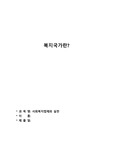 복지국가란