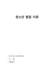 청소년 발달 이론
