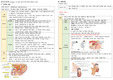 성인간호학 - 남성생식기계, 유방장애 대상자 간호