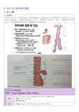 A+) 성인간호학(소화계) 개념정리본