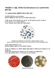 기회감염의 두 얼굴, 표피포도상구균(Staphylococcus epidermidis) 완벽 정리